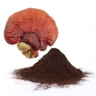 Herb Pure Herb Extract Ganoderma Lucidum Extract Powder
