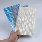 Shell New Zealand Natural Soft Bendable Abalone Shell Sheet For DIY Accessories Decoration Materials