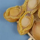 Abalone Hot Selling Good Quality Nutritious Shellfish Dried Abalone