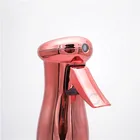 Spray Pump Spray Bottle Custom Logo Metallic Hair Mist Spray Bottle With Continuous Pump 250ml