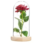 Rose Simulation Gold Foil Rose Flower Led Valentine Day Gift Christmas Gift Immortal Flower In Glass Cover