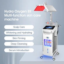 SW. 14 in 1 brand new upgrade Hydra Oxygen Elf Mutil-function skin care machine Other Home Use Beauty Equipment