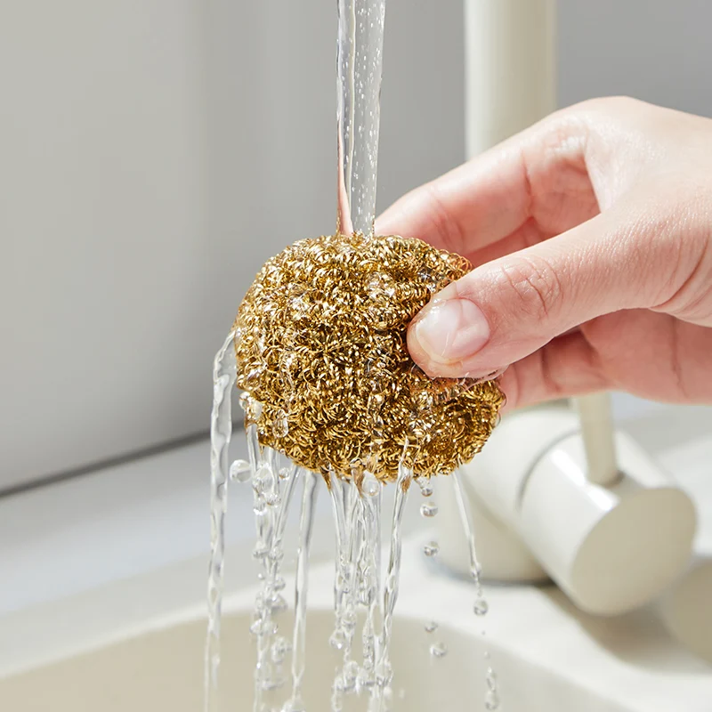 Cleaning Brush Stainless Steel Scourer with Plastic Handle Kitchen and Pot Cleaning Ball