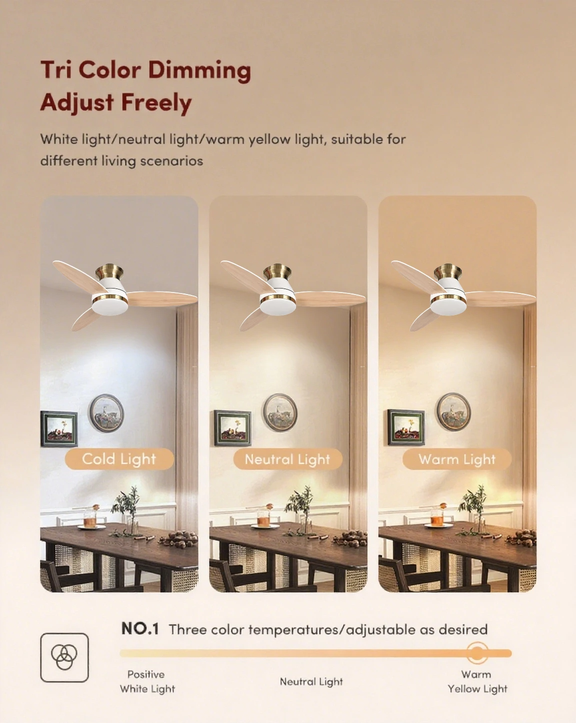 Ceiling Fans, 3CCT, BLDC - detail 18