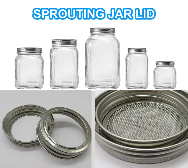 sprouting-jar-lid_01.jpg