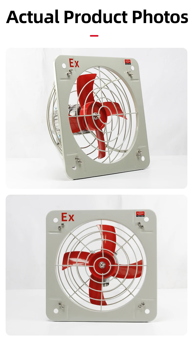 Axial Flow Fan, BFAG, Explosion-Proof, IP65 - detail 18