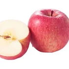 Fuji Apples Apple Fujiapple Chinese Fresh Fuji Apples Red Fuji Price Fuji Apple Factory