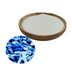 Wholesale Active Pure Food Grade Probiotic Bifidobacterium Longum Powder