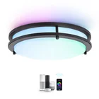 Light Smart Comfortable Living Room Bedroom Lighting Romantic Atmosphere Ceiling Intelligent LED Light
