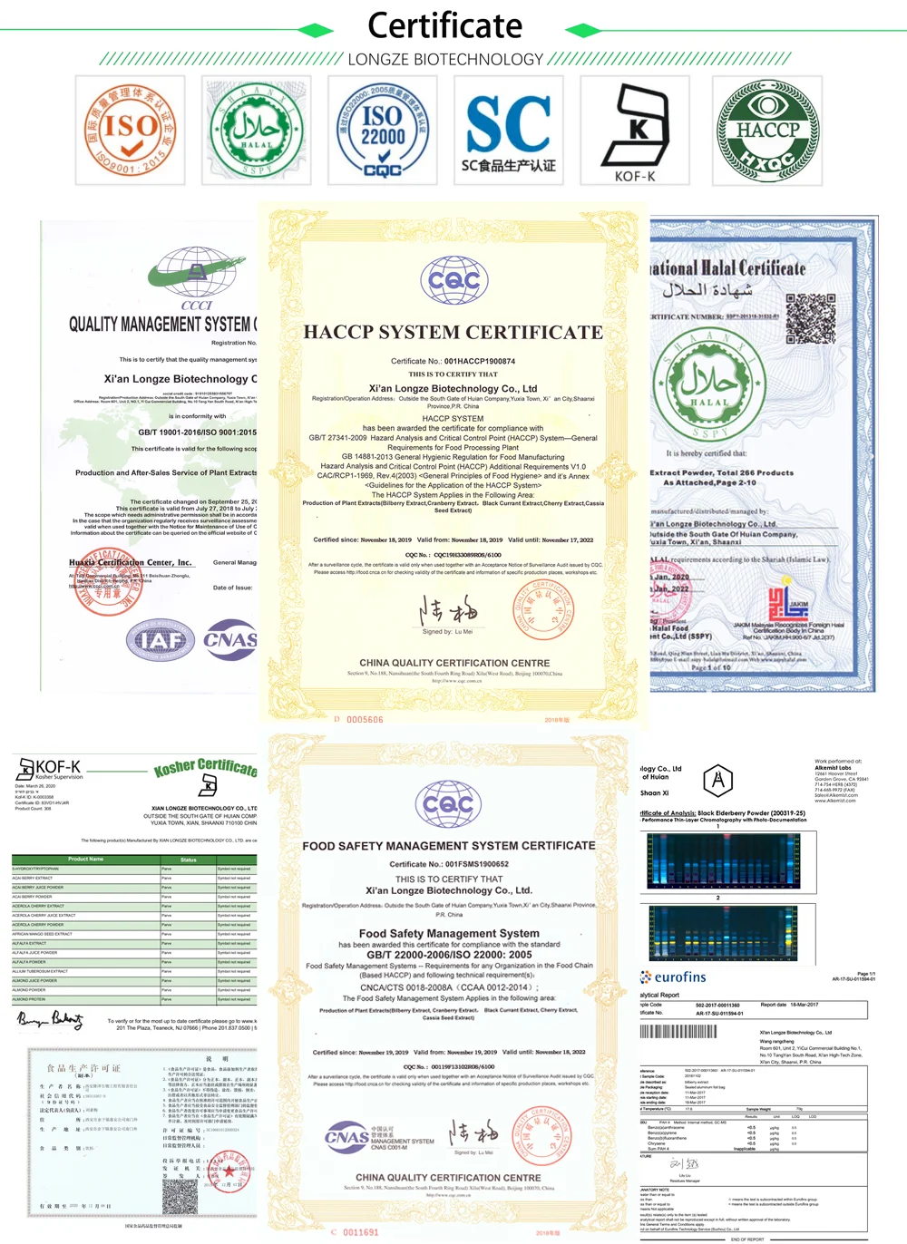 Longze  Certificates.png