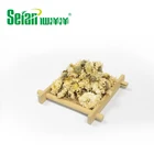 Chrysanthemum Morifolium Wholesale Price Natural And Green Chrysanthemum Morifolium Extract For Detoxification