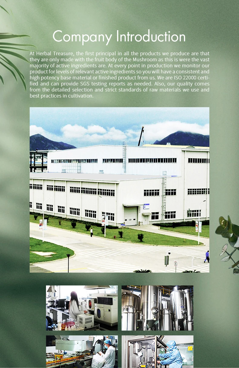 Custom Weight Loss Product Plus Herbal Extract Supplements Burn Diet