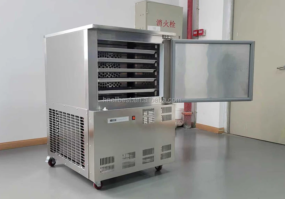 Trays Model Shock Freezer, 220V 50hz, 1200W - detail 22