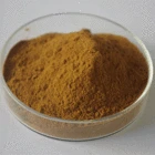 Powder Powderpowder Astragalus Extract Popular Recommend Root Powder Gmp Astragalus Extract
