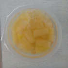 Cocktail Cocktail Fruit Fruit Cocktail 113g