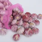 Hot Sale Fresh White Red Garlic Low Price Garlic For Sale