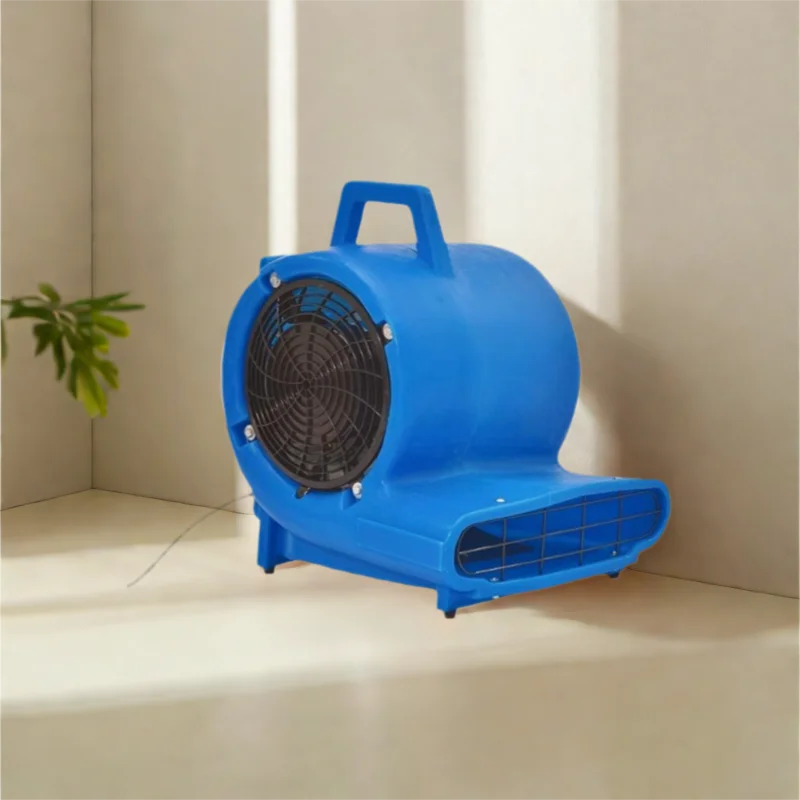 Air Blower, Portable, 220 V, 3000 - detail 6