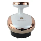 Cellulite Mini Galvanic Electric Health Meridian Dredging Instrument Vacuum Suction Anti Cellulite Massager