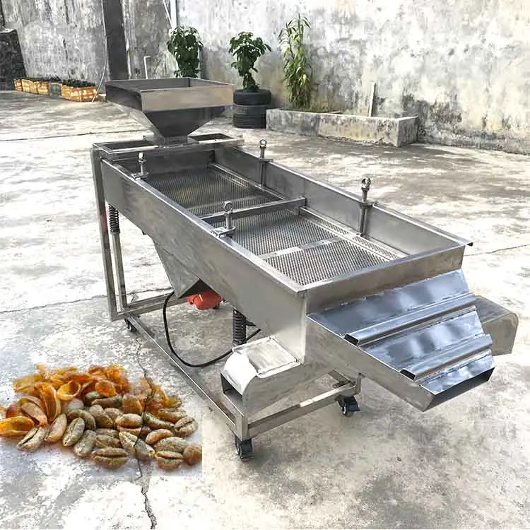 Coffee Bean Screen Size Sorters Machine Vibrating Screen Sorter for Coffee Beans Single manufacture