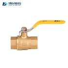 Brass Fittings Fitting Brass Ball Valve DN19 Full Bore Port Npt Thread Brass Gas Ball Valve And Fittings Manufacture
