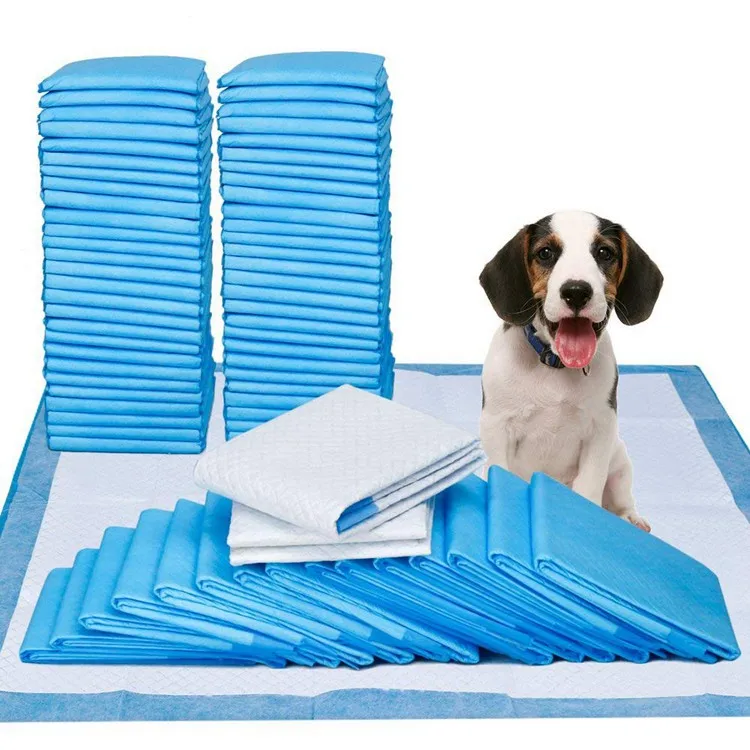potty training pad