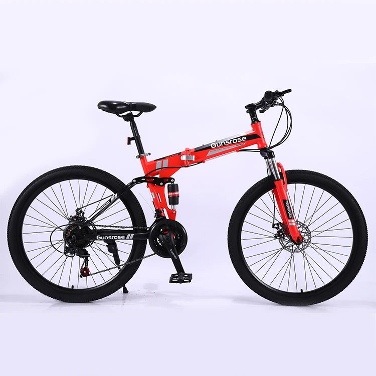 euro folding bike