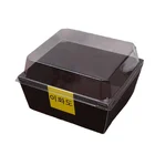 Box Bread Box/ Eco Friendly Transparent Pastry Rice Sushi Sandwich Packaging Box Bread Box/