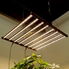 Led Led Grow Led Strip Lights Maaadro 2021 Professional Led Lighting Grow Light Strips 650w LED Grow Light In Stock
