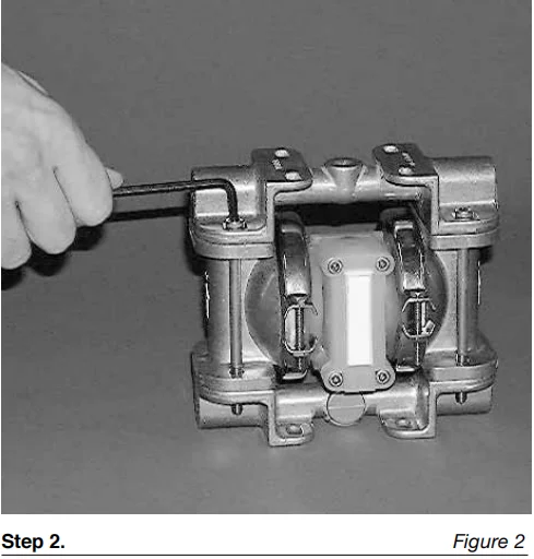 Bomba de diafragma neumática de acero inoxidable de 1/4'' P.025/SZPPP/TNL/TF/STV con PTFE Fábrica de bombas de diafragma Wilden