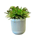 Decor Wholesale High Quality Top Quality Decor Indoor Modern Outdoor Flowerpot