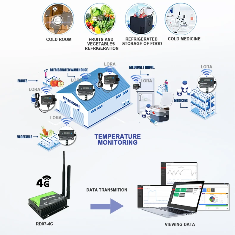 IOT Solution Lora Lorawan Wireless Real Time Temperature Humidity Sensor