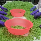 Beans Buyers Soybean Kernel Edamame Beans