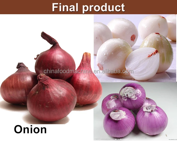 New Design Dry Small Onion Shallot Peeling Cutting Machine Red Onion Peel Machine details
