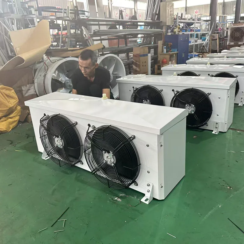 Freezing Room Evaporator, 220V, 2*145W - detail 16