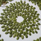 Shine Skin New Crop Dried 25kg Packed Shine Skin Wholesale Pumpkin Seeds Kernel
