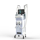 Skin Muscle Ems CE Approved Promotion Skin Protection Beauty Faradic Electrical Muscle Stimulation Machine