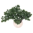 Bonsai Tree Wholesale Potted Mini Plastic Small Artificial Indoor Cedar Bonsai Tree For Home Decoration