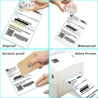 50 Manufacturer Adhesive Label Blank Labels Self Adhesive 4 X 2 Inch Direct Thermal Labels 100 X 50 Mm Label Stickers