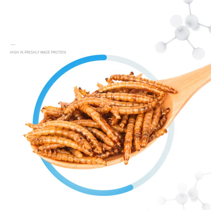 pet food bird food