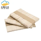 Stick Ice Wooden Popsicle Stick Wood Biodegradable Custom Logo Popsicle Stick Ice Cream Stick