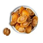 Abalone Hot Selling Good Quality Nutritious Shellfish Dried Abalone