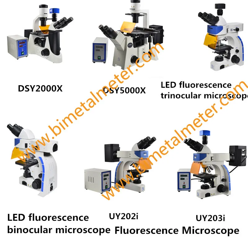 Fluorescence Microscope.jpg