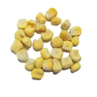 Corn Corn Top Quality China FD Freeze Sweet Corn Yellow Corn
