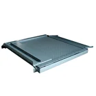 Platform Weighing Scale Chemical Industry Weighing Scale Max 3000Kg Stainless Steel Platform Scale