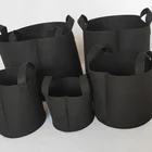 Plant Home Plant Grow Bags Vegetable Growing Bags Vertical Garden Bag Seedling