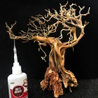Glue Best-selling Worldwide Aquarium Moss Glue Water Plants Glue