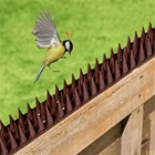 Outdoor Wall Balcony Plastic Pigeon Cat Control Prickle Strip Anti Bird Spikes