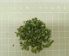 Factory Wholesale Vegetables Dry Chives For Spices Herbs Dried Chives Flakes Green Onion