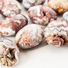 Gem Wholesale Natural Mexico Sardonyx Palm Stone Quartz Crystal Stone Gem Specimen Healing