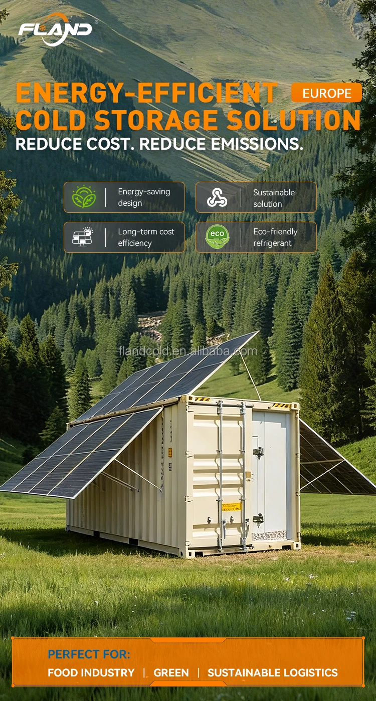 Freezer, 20FT, 40HQ, Solar - detail 32